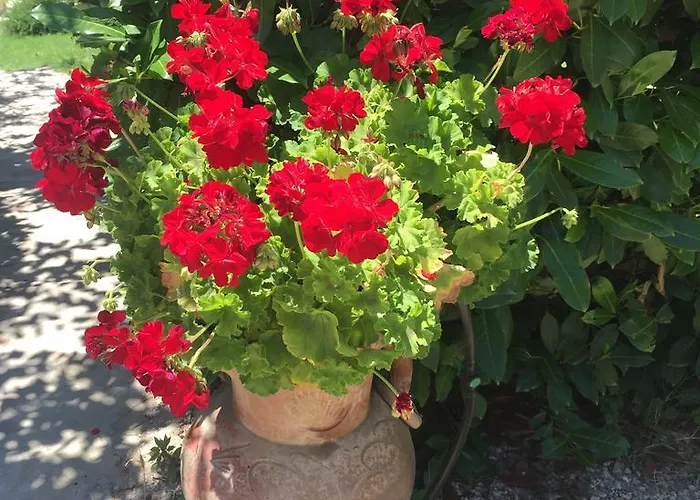 Apartament La Noce *